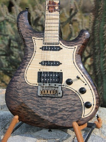 Knaggs Guitars Black Rhino 9